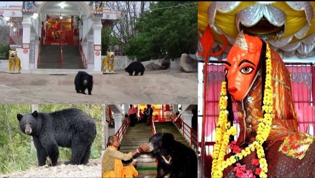 Chandi Mata Temple 2