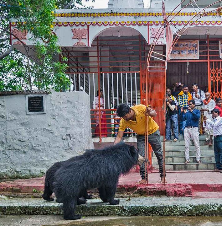 Chandi Mata Temple 6