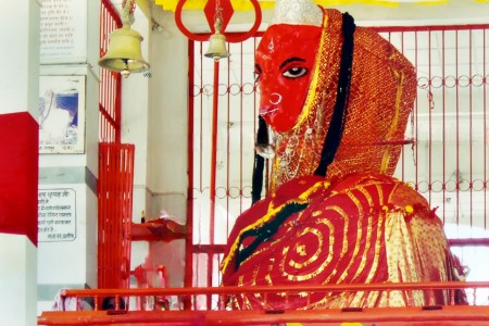 Welcome to Chandi Mata Temple